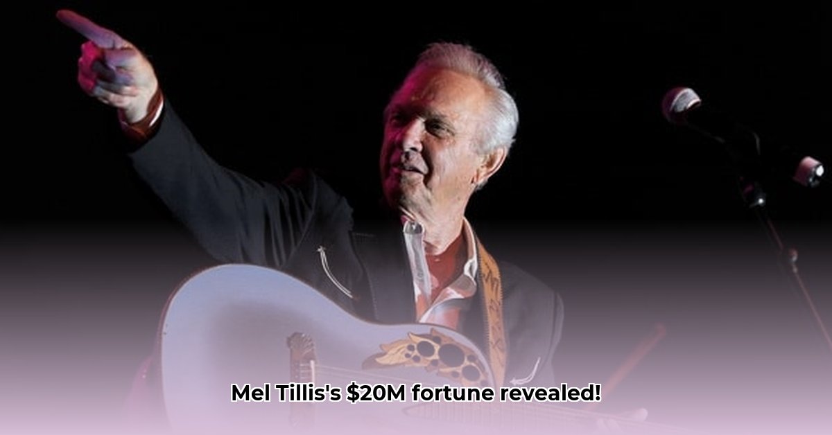 mel-tillis-net-worth